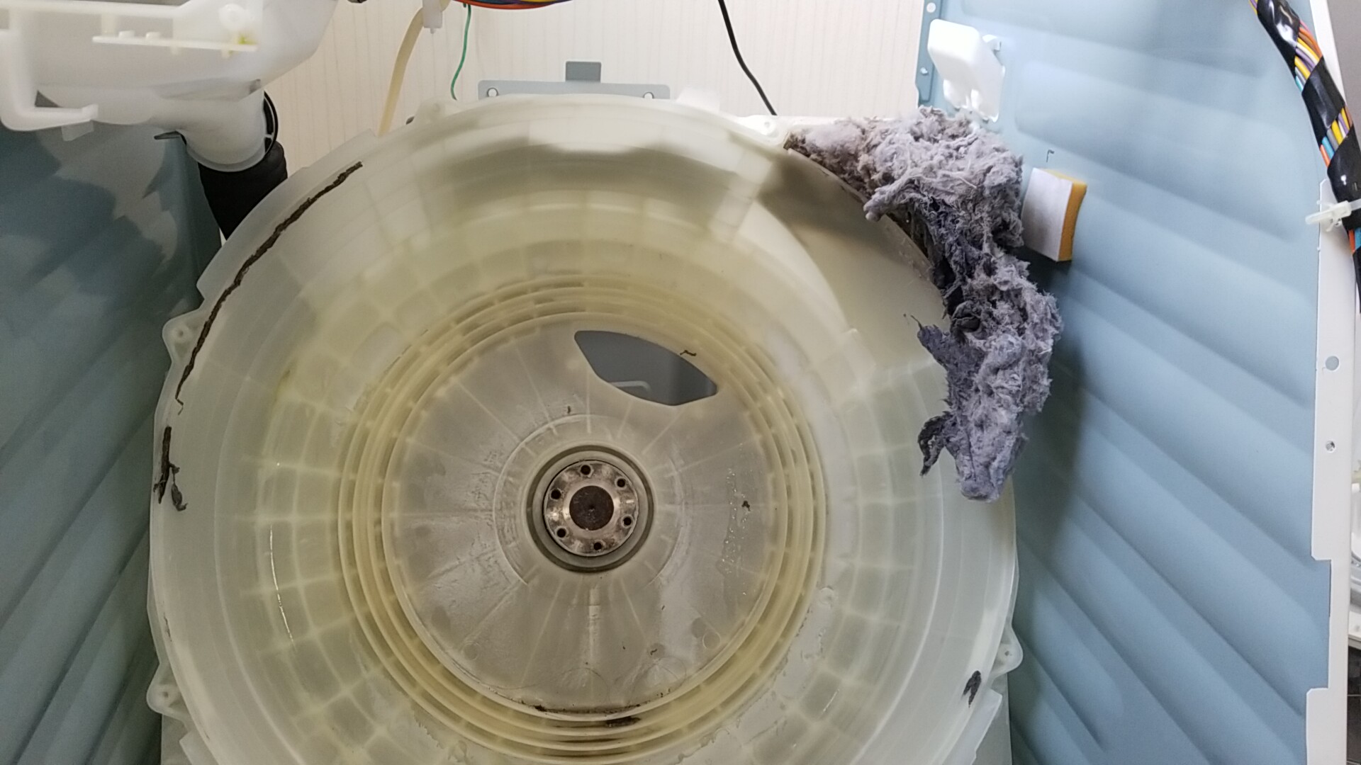 愛知県岩倉市 日立製ドラム式洗濯乾燥機分解クリーニング作業